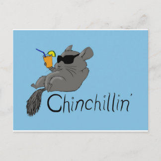 Cartão Postal chinchillin