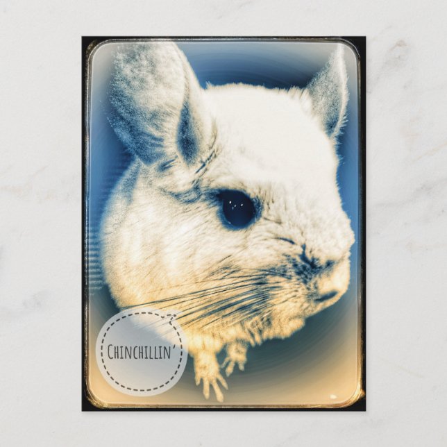 Cartão Postal Chinchillin FullSizeRender (Frente)