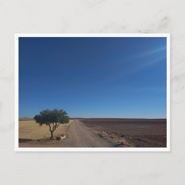 Cartão Postal Chinchon (Espanha) (Frente)