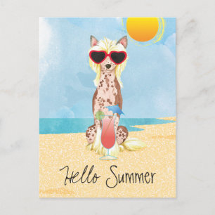 Cartão Postal Chinês de Verão