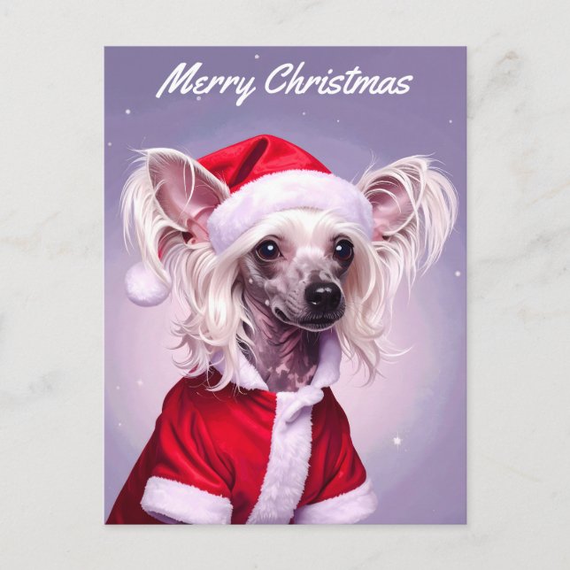 Cartão Postal Chinese Crested Santa Christmas (Frente)