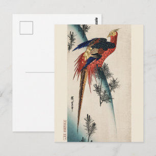 Cartão Postal Chinoiserie Colorido Faisão Ave & Arte de Pinheiro