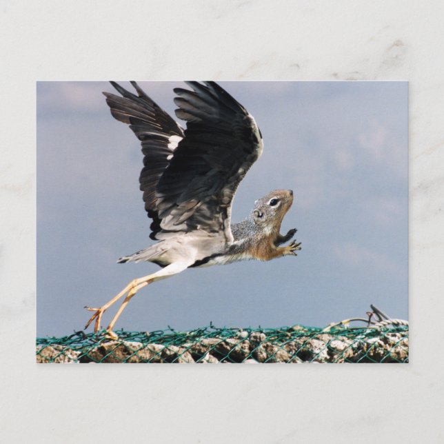 Cartão Postal Chipheron (Frente)