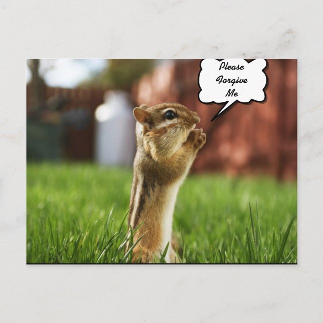 Cartão Postal Chipmun Rezando Por Favor Perdoe-Me (Frente)