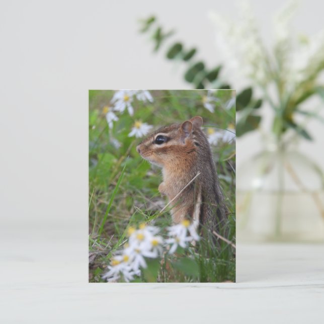 Cartão Postal Chipmunk Adorável das flores (Em pé/Frente)