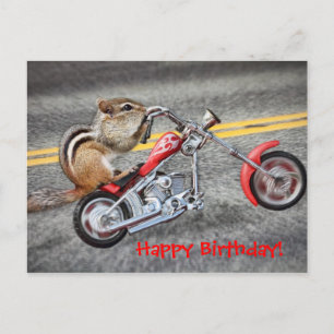 Cartão Postal Chipmunk Biker dirigindo uma moto