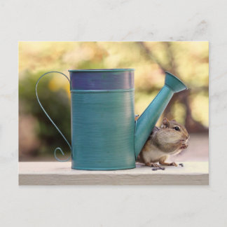 Cartão Postal Chipmunk bonito e água podem ser fotografados
