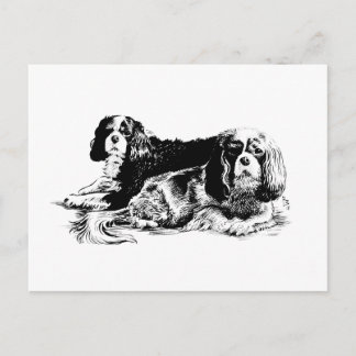Cartão postal Chloe e Ollie
