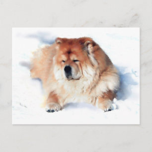 Cartão Postal CHLOE LAYING IN THE SNOW O cartão-postal ARTdog