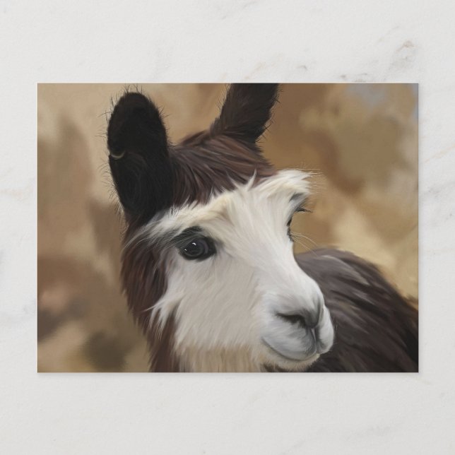 Cartão Postal Chocolate e Alpaca branca (Frente)