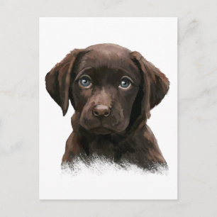 Cartão Postal Chocolate Labrador