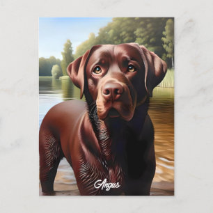 Cartão Postal Chocolate Labrador e Lago