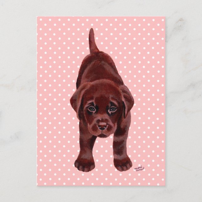 Cartão Postal Chocolate Labrador Puppy (Frente)