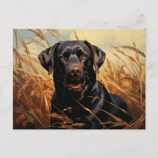 Cartão Postal Chocolate Labrador Retriever (Frente)