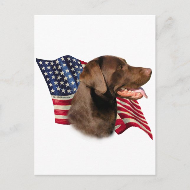 Cartão Postal Chocolate Labrador Retriever American Flag (Frente)