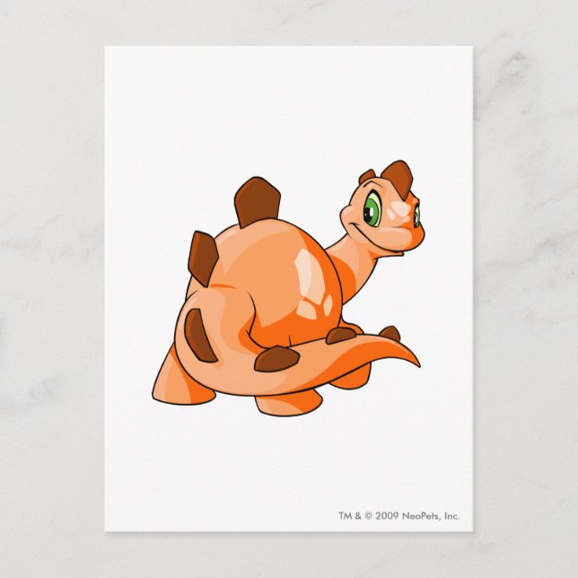 Cartão Postal Chomby Orange (Frente)