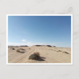 Cartão Postal Chott el Gharsa (Tunísia)
