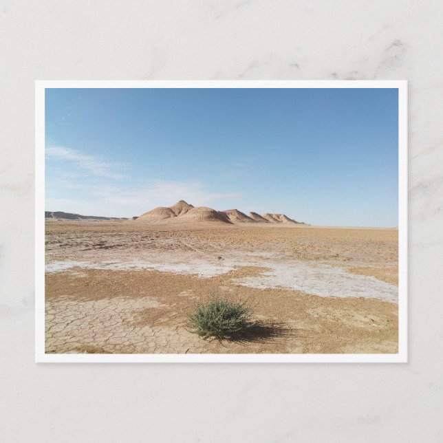 Cartão Postal Chott el Gharsa (Tunísia) (Frente)