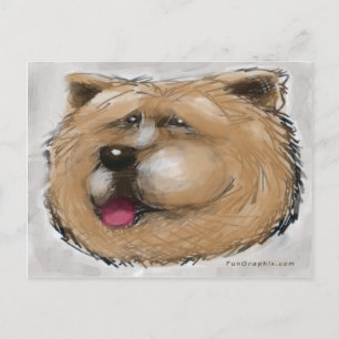 Cartão Postal Chow Chow