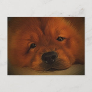 Cartão Postal Chow Chow
