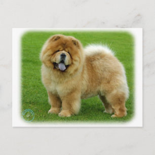 Cartão Postal Chow Chow 9B008D-06