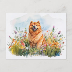 Cartão Postal Chow Chow - Cartão-postal