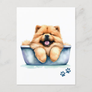 Cartão Postal Chow Chow Dog