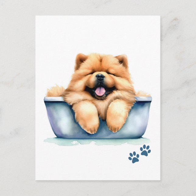 Cartão Postal Chow Chow Dog (Frente)