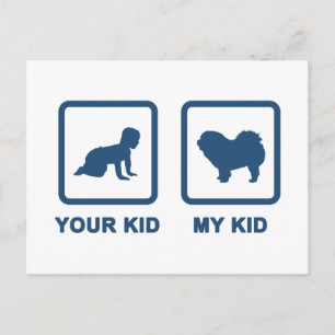 Cartão Postal Chow Chow Rough-Coat