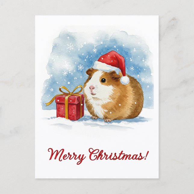 Cartão Postal Christmas Guinea Pig Postcard (Frente)