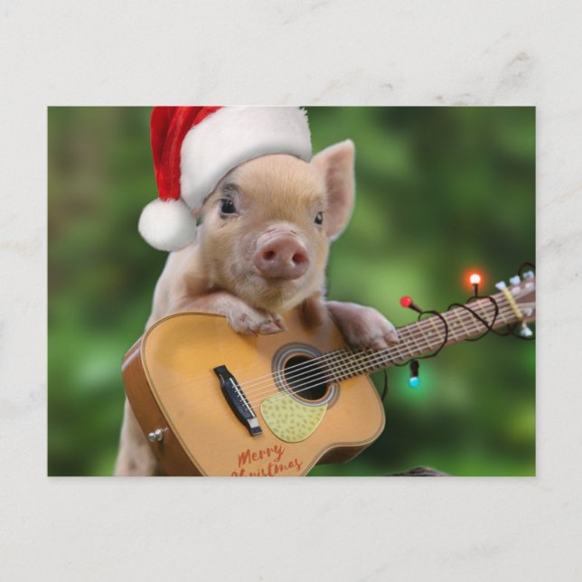 Cartão Postal Christmas guitar pig (Frente)
