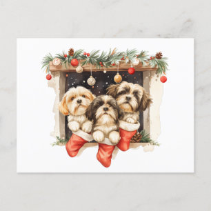 Cartão Postal Christmas Shih Tzu Dogs