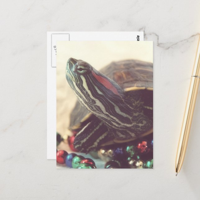 Cartão Postal Christmas Turtle (Frente/Verso In Situ)