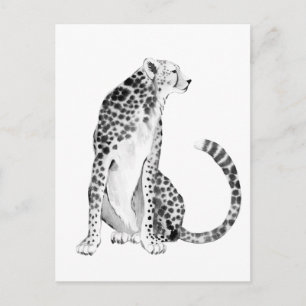 Cartão Postal Chrome Cheetah