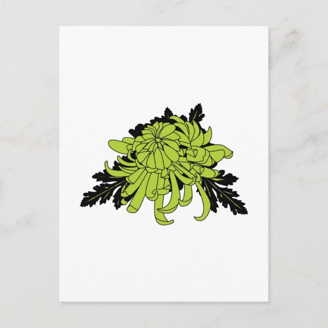 Cartão Postal Chrysanthemum (Frente)