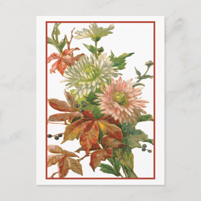 Cartão Postal Chrysanthemum Autumn Fine Art (Frente)