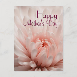 Cartão Postal Chrysanthemum - Dia de as mães Feliz Personalizado