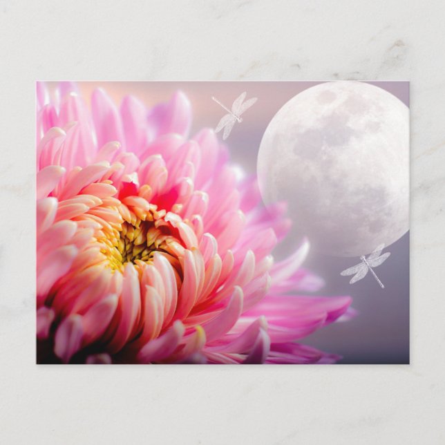 Cartão Postal Chrysanthemum e Moon (Frente)