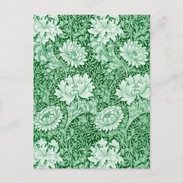 Cartão Postal Chrysanthemum Green, William Morris (Frente)