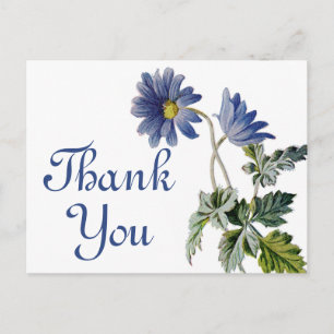 Cartão Postal Chuva de Noiva Floral Flores de Margarida Azul Aqu