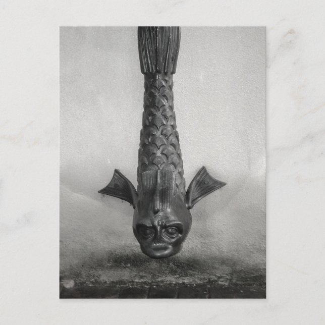 Cartão Postal Chuva de Peixe cuspiu em Savannah, Ga. (Frente)