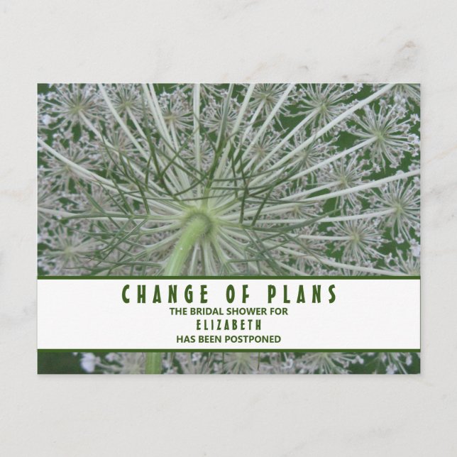 Cartão Postal Chuva de Presentes Mudança de Planos Rainha Anne's (Frente)