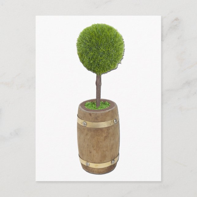 Cartão Postal ChuvaPlantadaÁrvoreBarrel050811 (Frente)