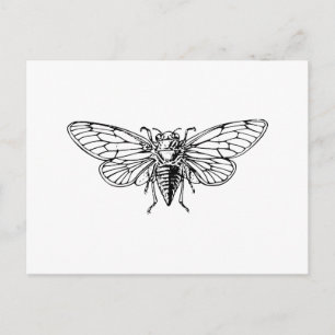 Cartão Postal Cicada