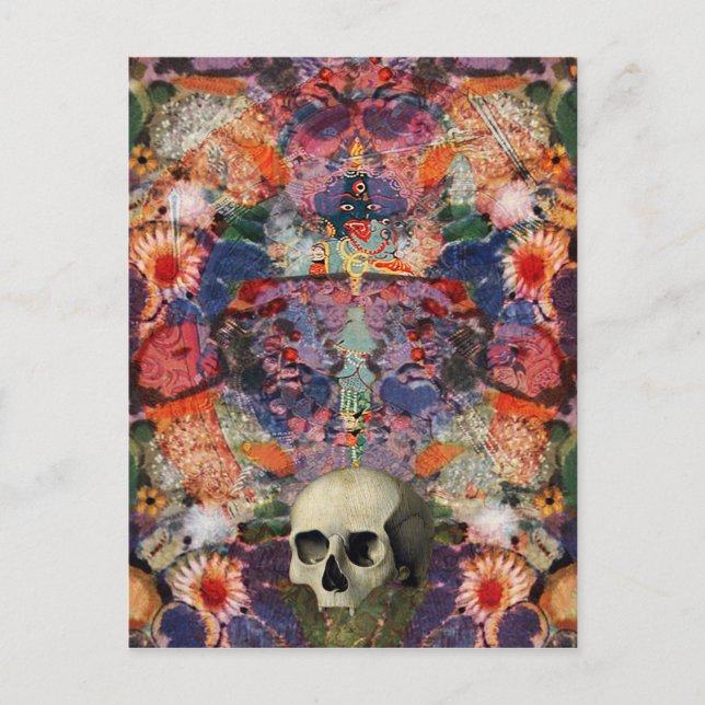 Cartão Postal Ciclo de vida (Frente)