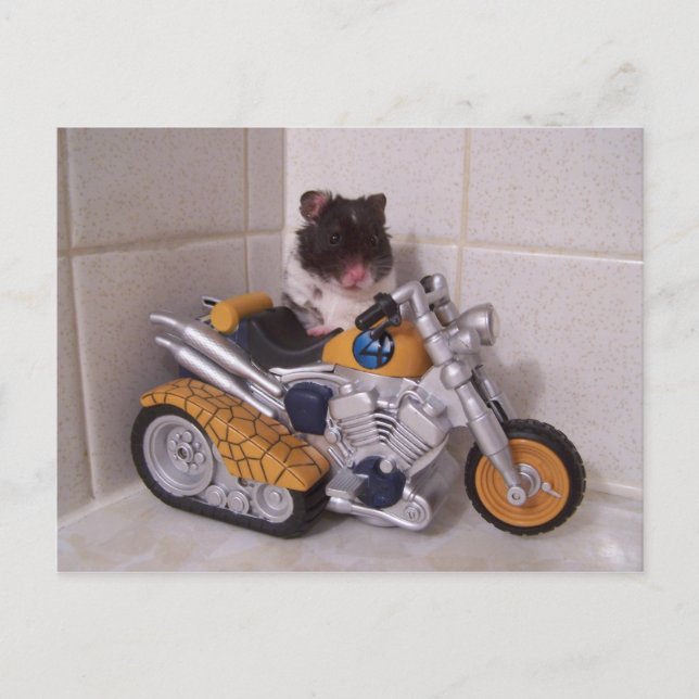 Cartão Postal ciclo noah (Frente)