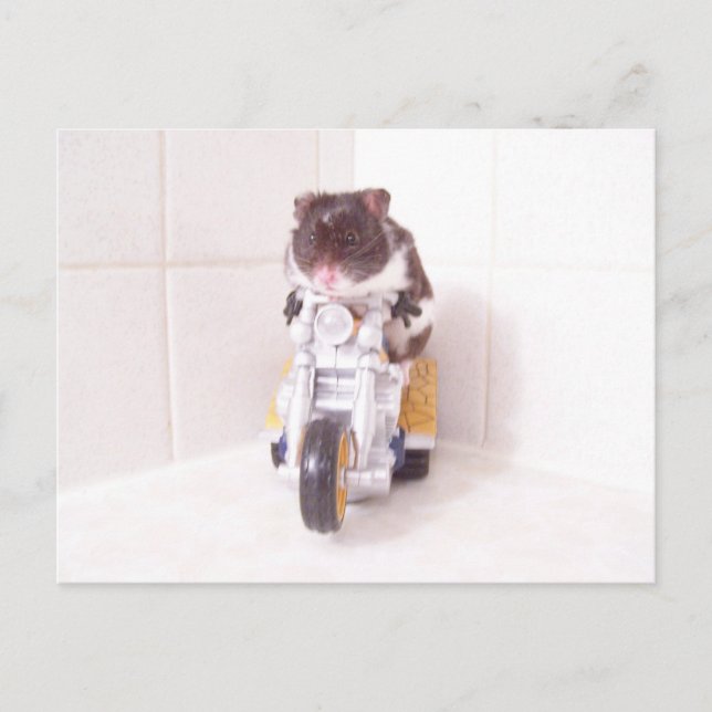 Cartão Postal ciclo noah amarelo (Frente)