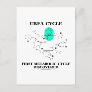 Cartão Postal Ciclo Ureia Primeiro Ciclo Metabólico Descoberto