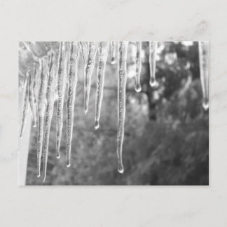 Cartão Postal Ciclos De Gelo