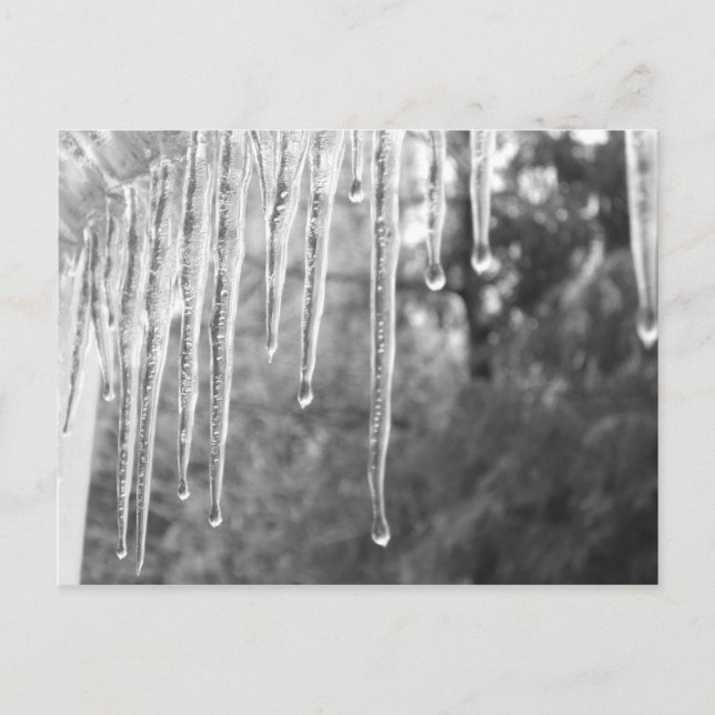 Cartão Postal Ciclos De Gelo (Frente)